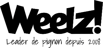 Logo Weelz